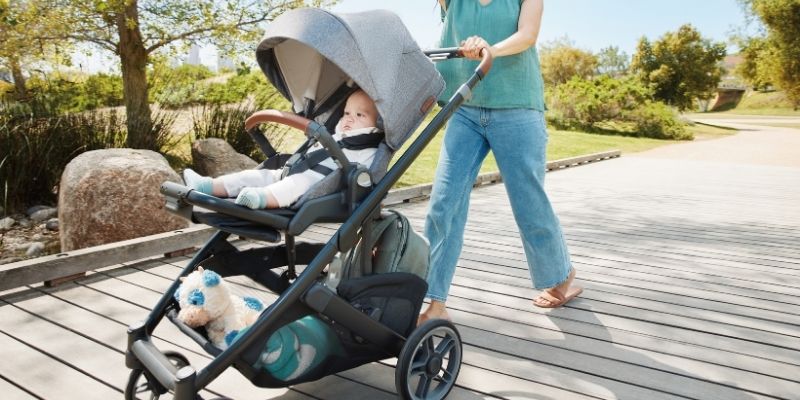 UPPAbaby Vista V3 vs. Cruz V3 Strollers