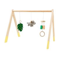Wooden Activity Arch