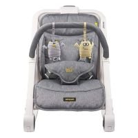 Baby Bouncer