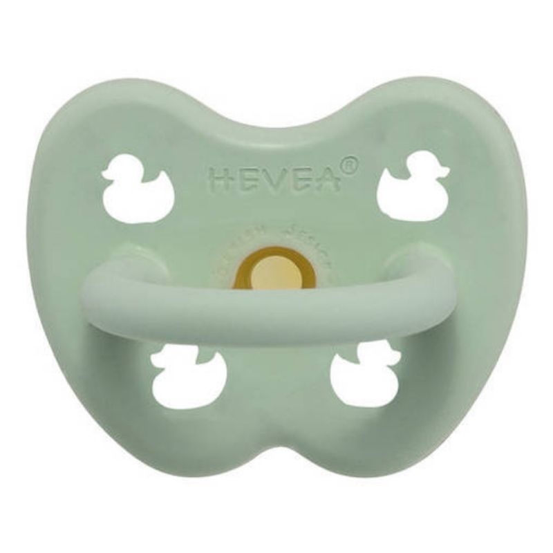 Hevea