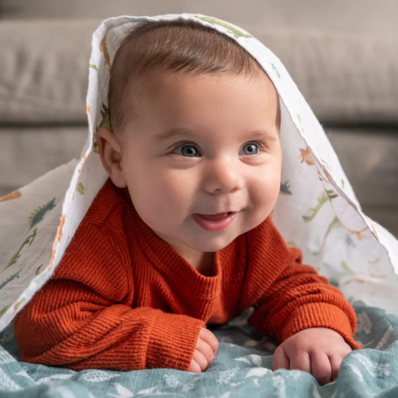 Cotton Muslin Swaddles - 4 Pack