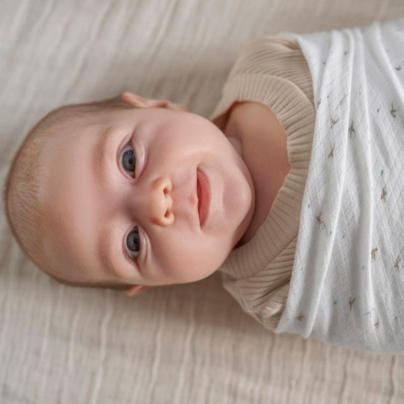 Essentials Silky Soft Muslin Swaddle - 2 Pack