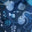 Deep Sea- Hemp