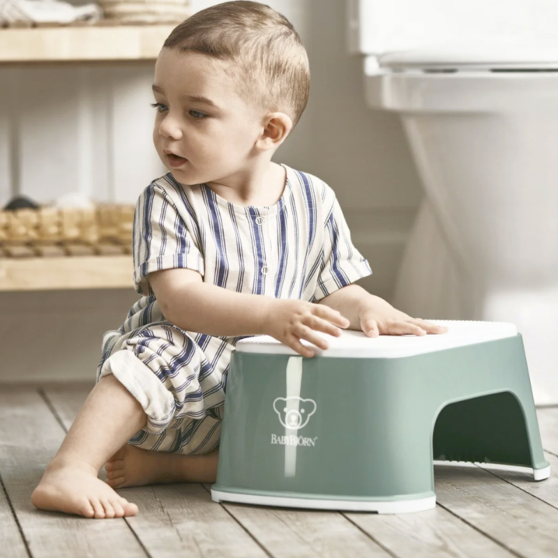 Safe Step Stool