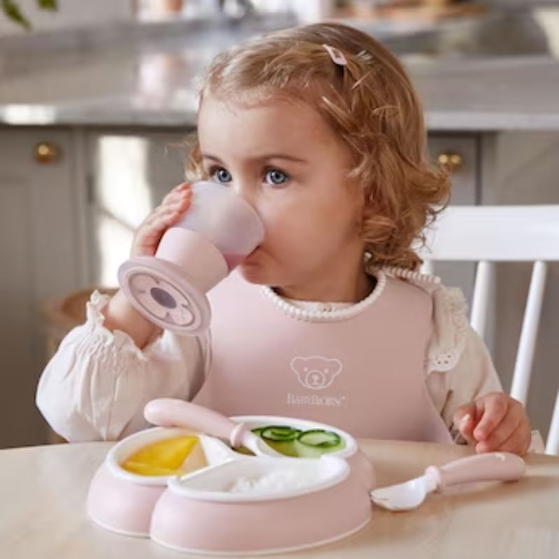 8 Piece Dinnerware Set