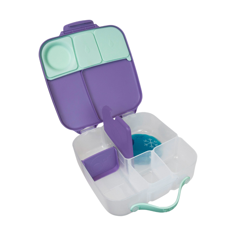 Lunchbox Lilac Pop