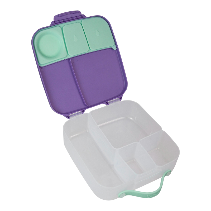 Lunchbox Lilac Pop