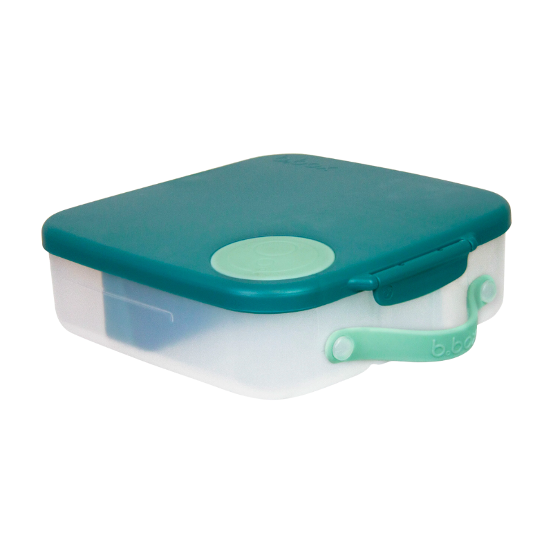 Lunchbox Emerald Forest