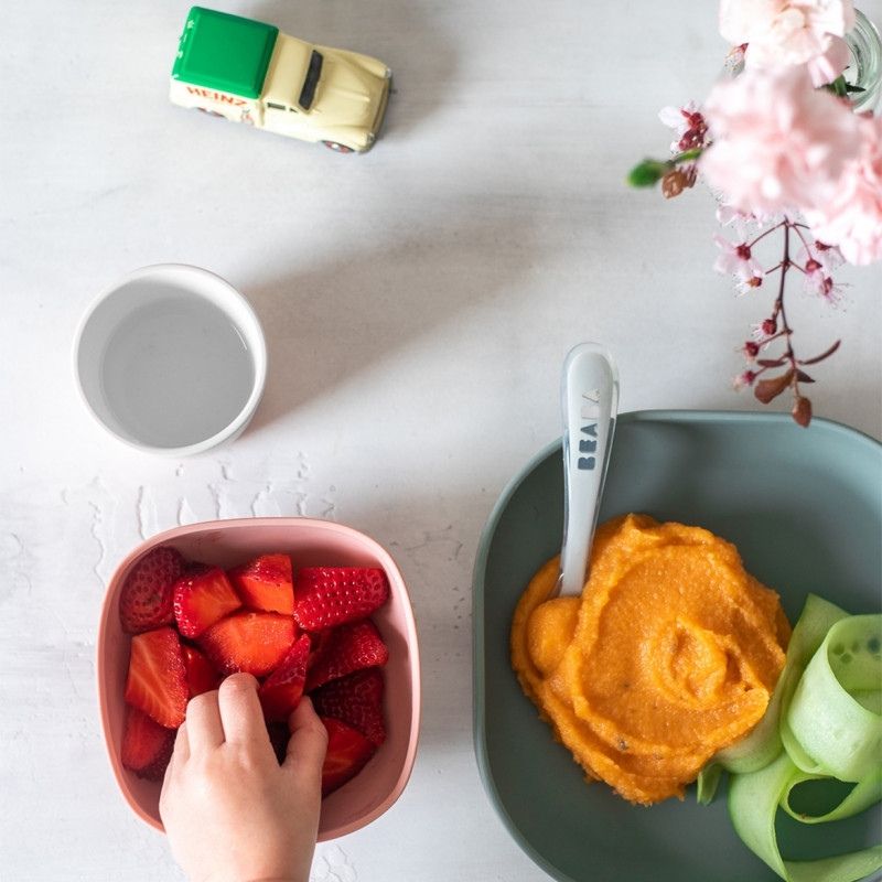 Silicone Suction Bowls