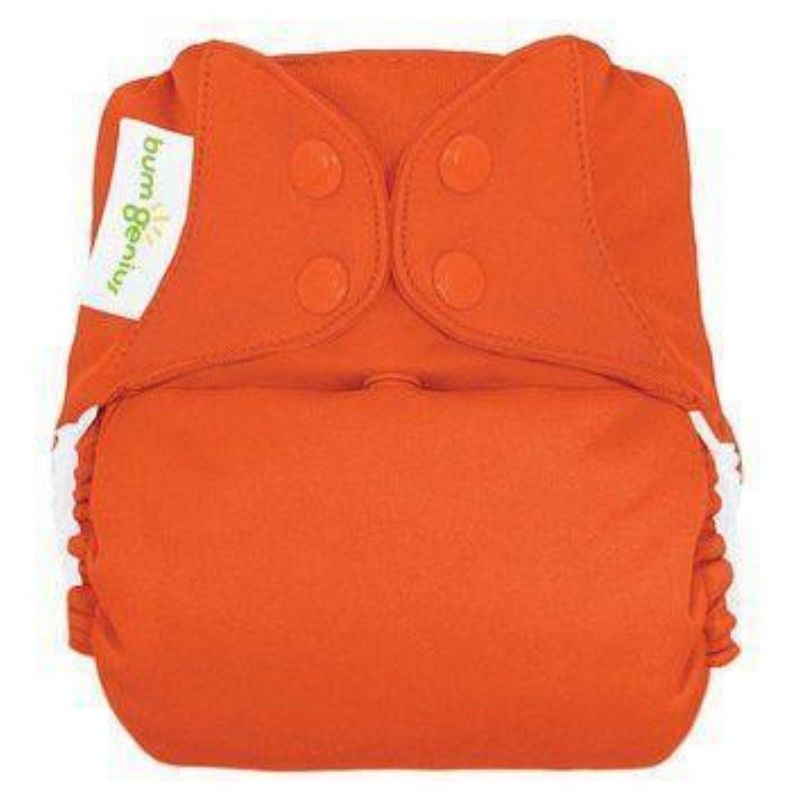 Freetime - All in One Cloth Diaper Sassy