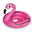 Pink Flamingo
