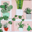 Greenhouse