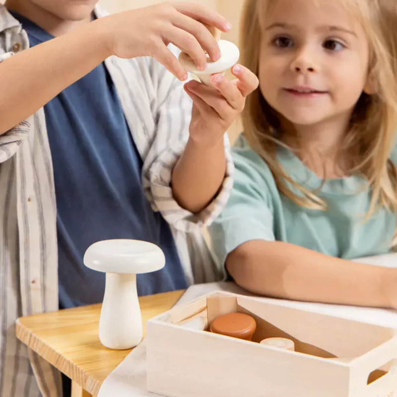 Wooden Mushrooms Playset