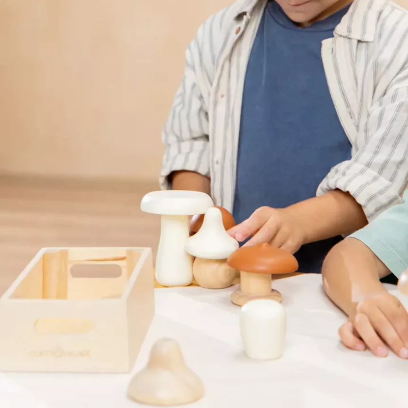 Wooden Mushrooms Playset