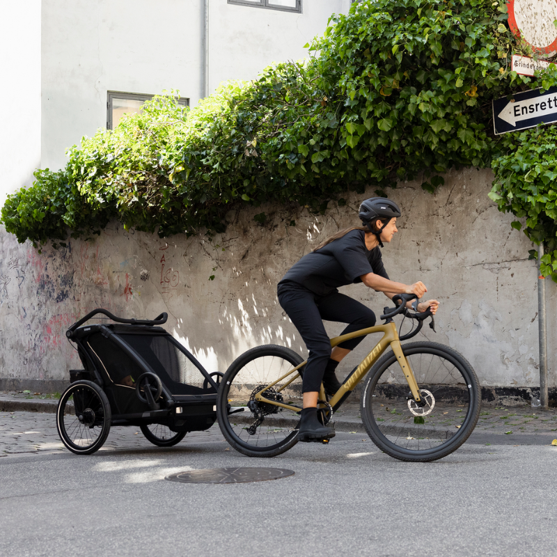 Remorque pour vélo simple Chariot Sport 2