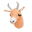 Antelope