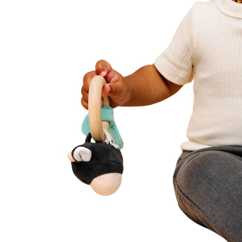 Grab and Rattle