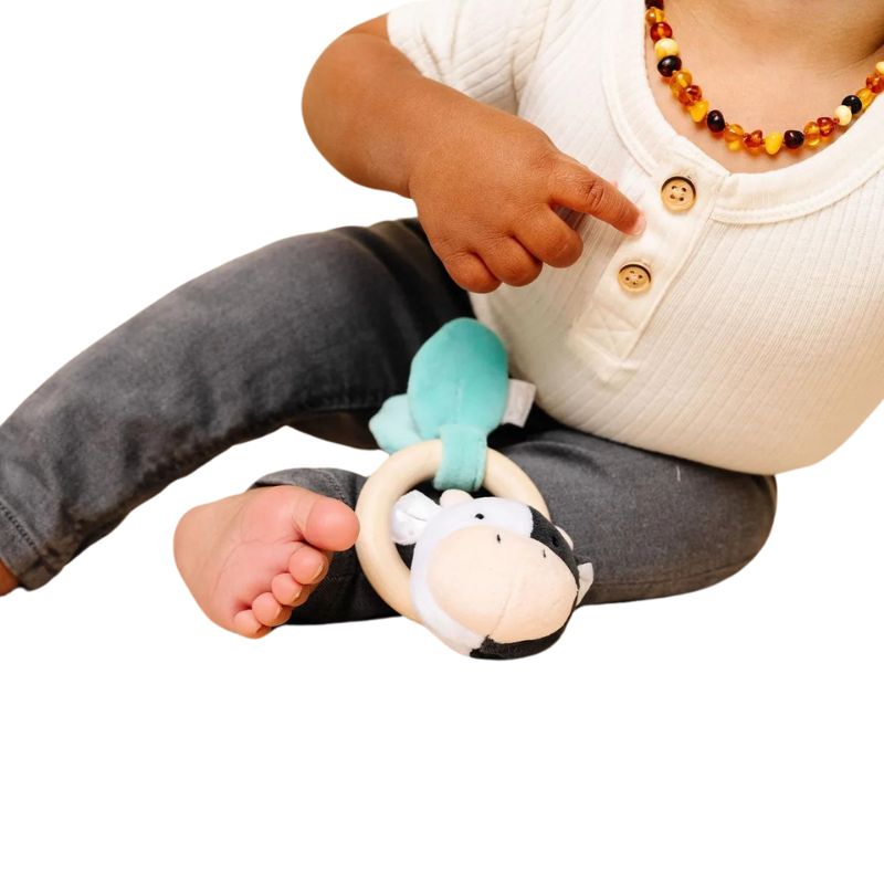Grab and Rattle