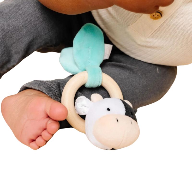 Grab and Rattle