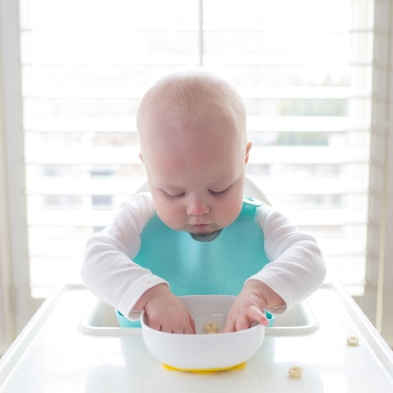 No Slip Suction Bowls -  2 Pack