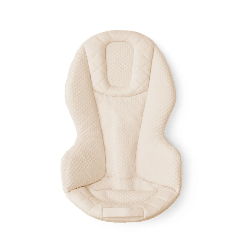 3-in-1 Evolve Bouncer