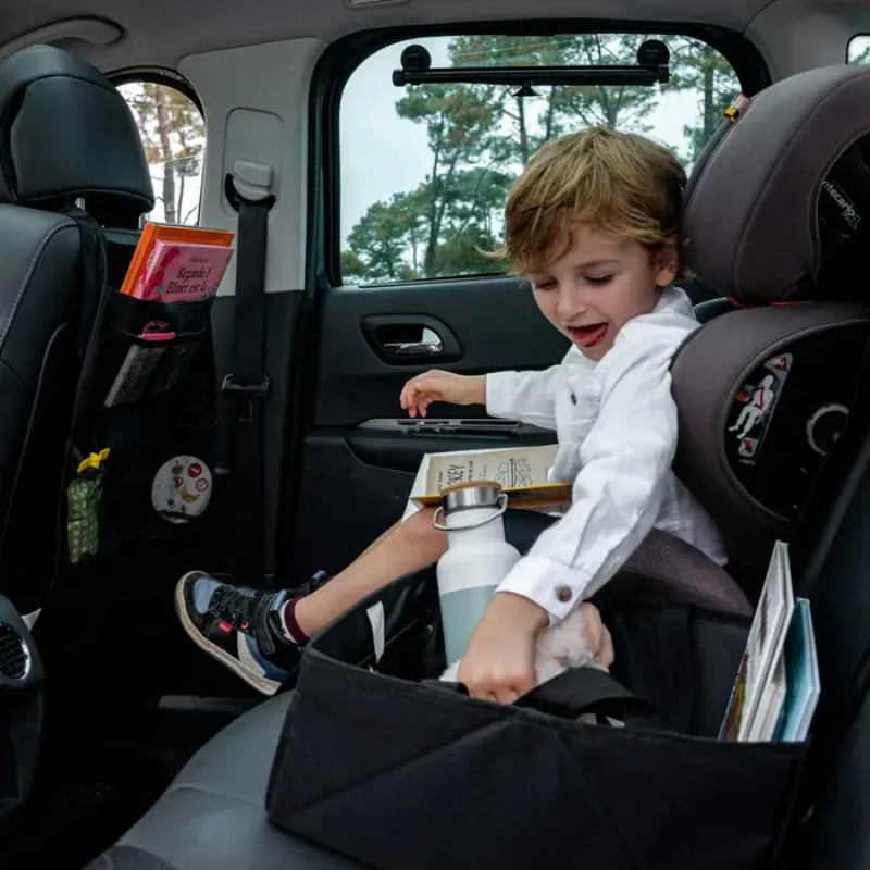 Ezi Travel Plus Seat Organizer & Protector
