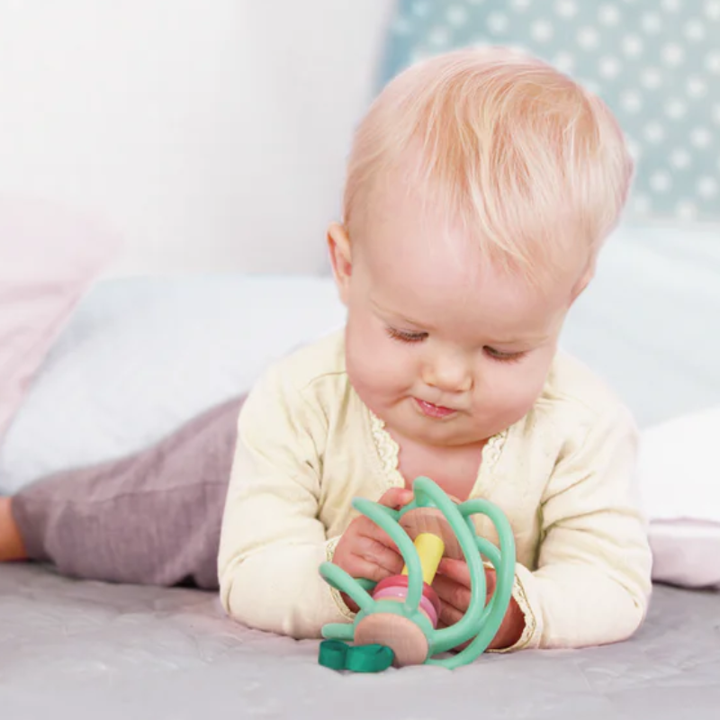 Apple Grab Toy