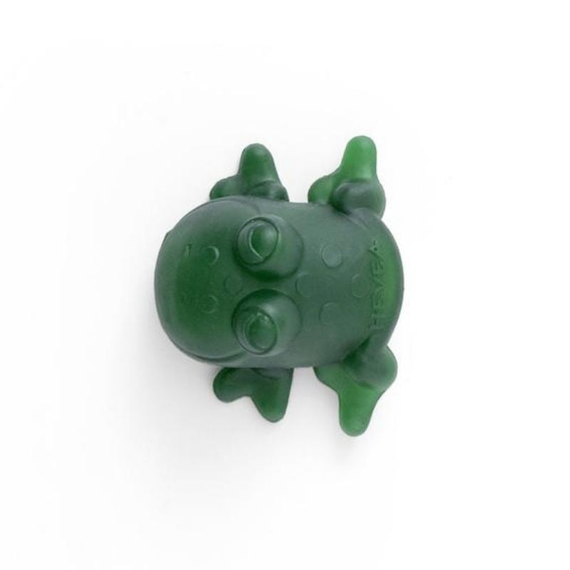 Bath Toy - Fred The Frog