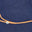 Navy Orange