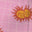 Horizon Sun