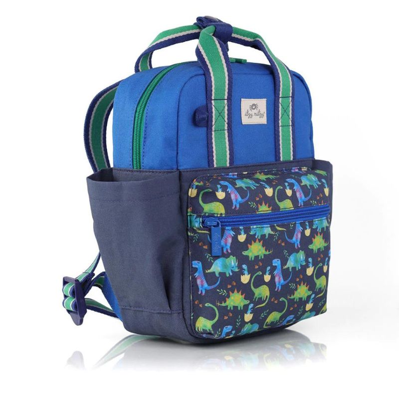 Itzy Bitzy Bag Toddler Backpack
