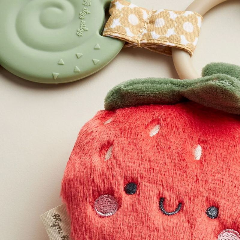 Itzy Pal Infant Toy
