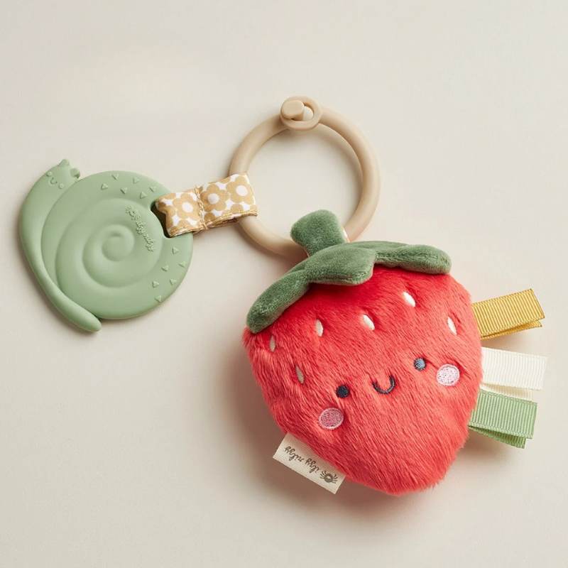 Itzy Pal Infant Toy