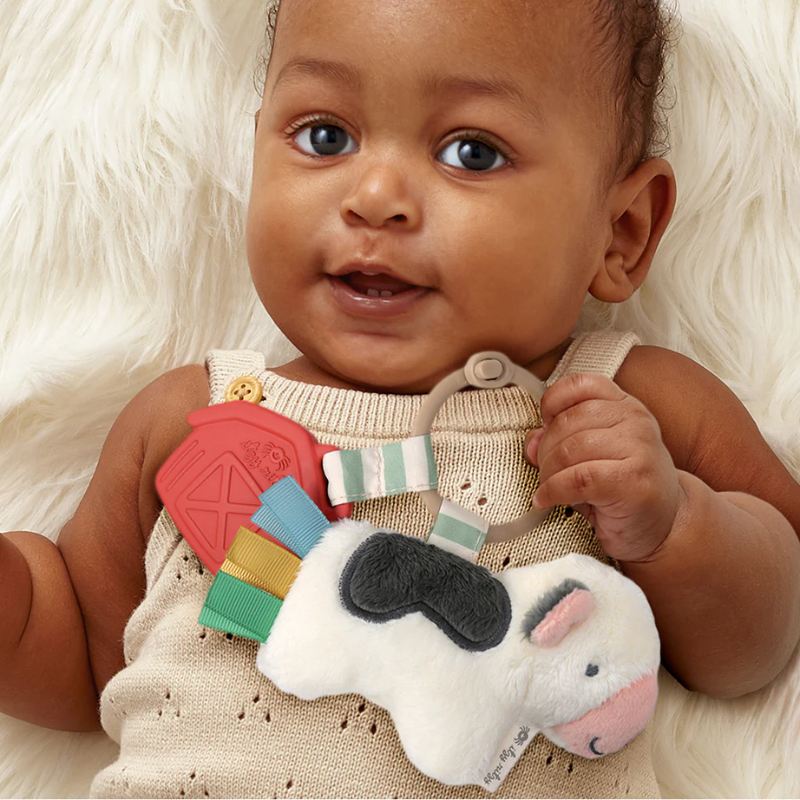 Itzy Pal Infant Toy