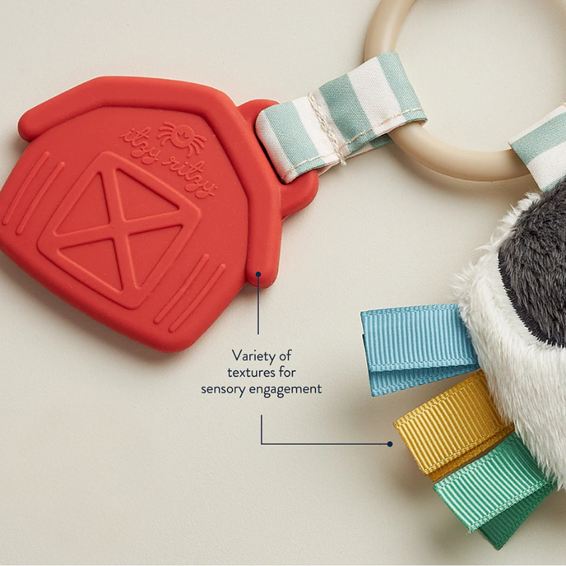Itzy Pal Infant Toy