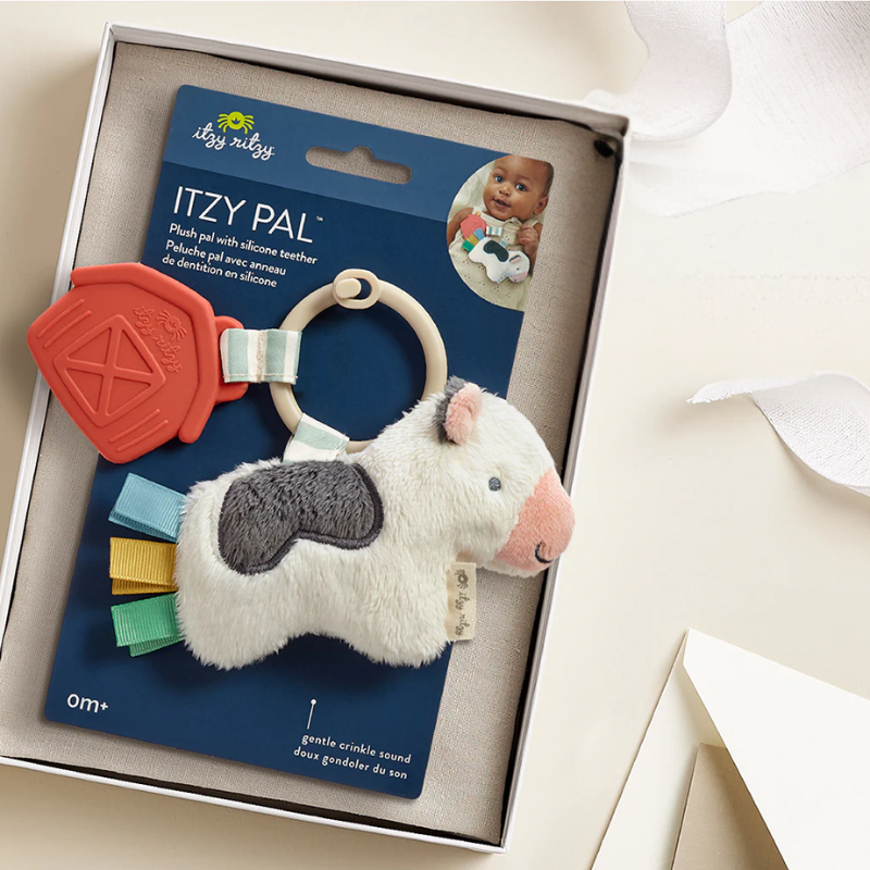 Itzy Pal Infant Toy