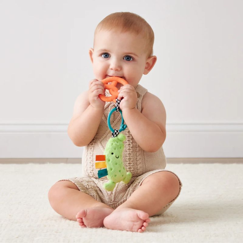Itzy Pal Infant Toy