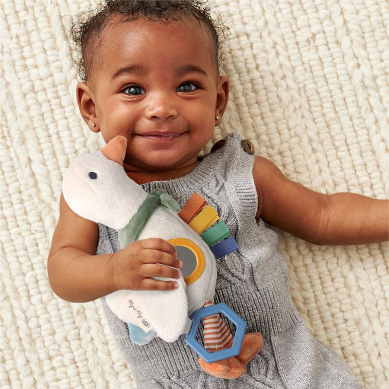 Bitzy Traveler Developmental Sensory Toy