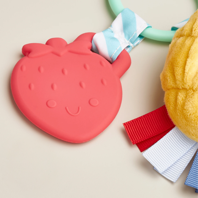 Itzy Pal Infant Toy