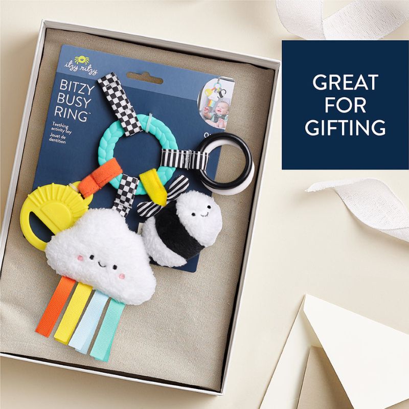 Bitzy Busy Ring Teething Activity Toy