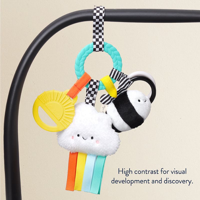 Bitzy Busy Ring Teething Activity Toy