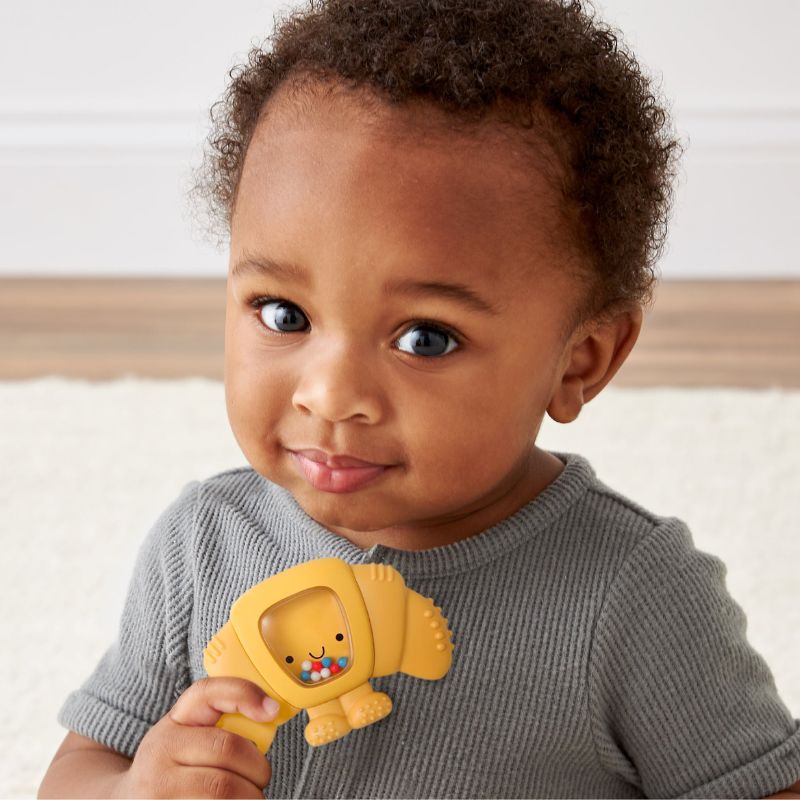 Sweetie Shake Plus Rattle & Teether