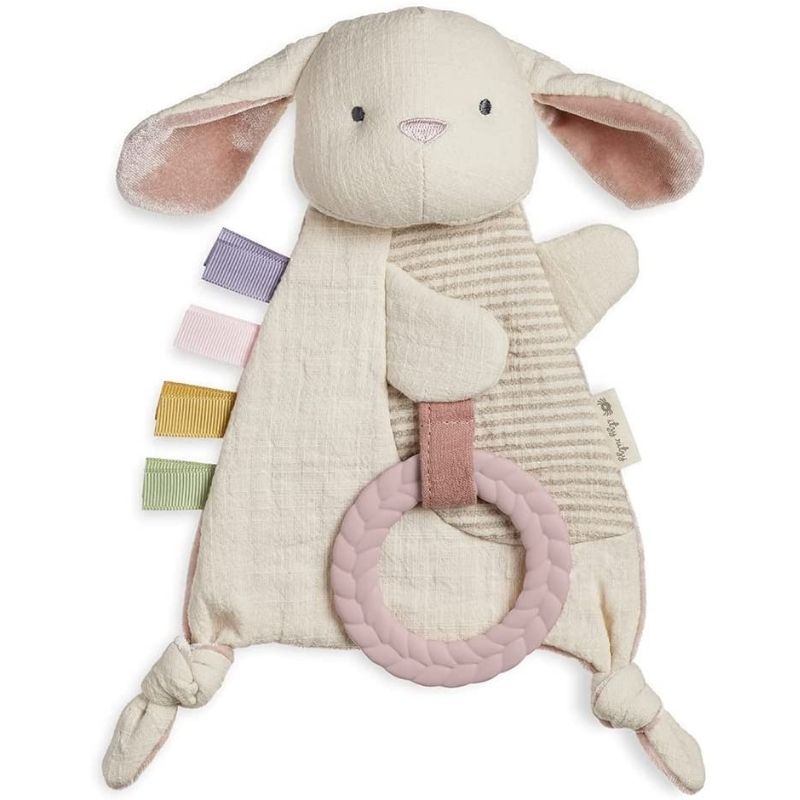 Sensory Crinkle Toy and Teether