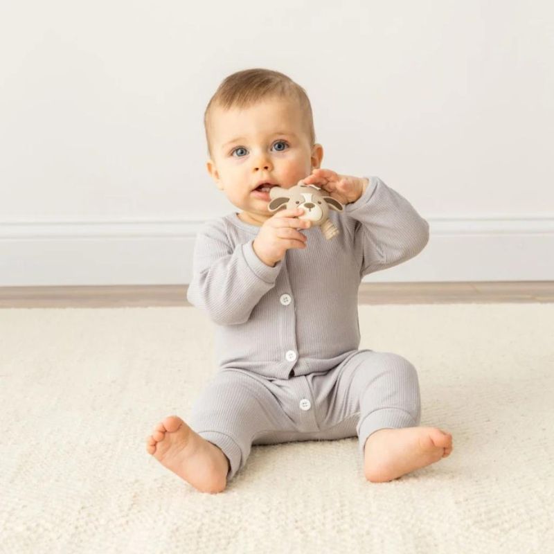 Ritzy Molar Teether