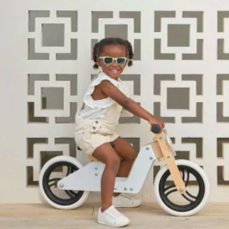 2-IN-1 Tricycle 