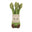 Asparagus