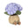 Hydrangea