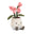 Pink Orchid