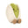 Horatio Pistachio