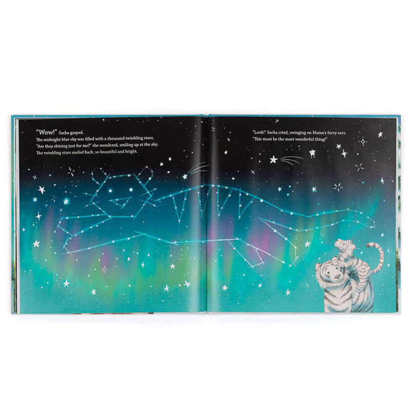 Sacha and the Most Wonderful Thing Book + Plush Bundle